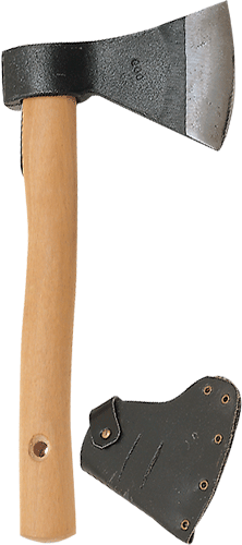 FAP2197